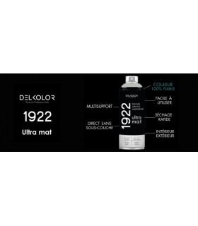 Peinture aérosol DELKOLOR 1922 MAT - 400 ml