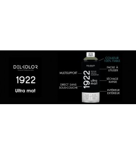 Peinture aérosol DELKOLOR 1922 MAT - 400 ml