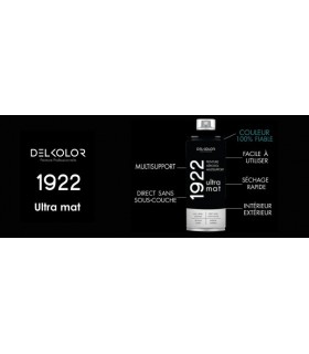 Peinture aérosol DELKOLOR 1922 MAT - 400 ml