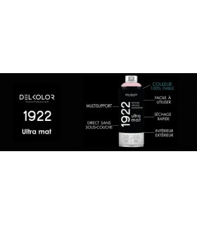 Peinture aérosol DELKOLOR 1922 MAT - 400 ml