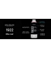 Peinture aérosol DELKOLOR 1922 MAT - 400 ml
