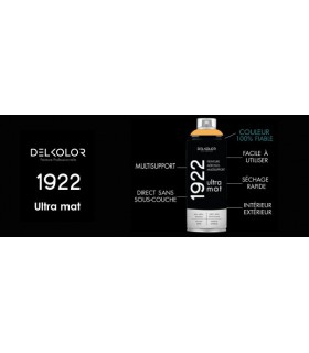 Peinture aérosol DELKOLOR 1922 MAT - 400 ml