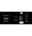 Peinture aérosol DELKOLOR 1922 MAT - 400 ml