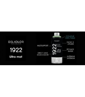 Peinture aérosol DELKOLOR 1922 MAT - 400 ml