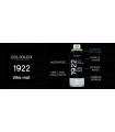 Peinture aérosol DELKOLOR 1922 MAT - 400 ml