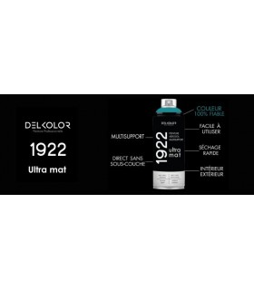 Peinture aérosol DELKOLOR 1922 MAT - 400 ml
