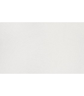 PAPIER PEINT INTISSE ENVOGUE BLANC - SPOTLIGHT 2 - 10,05 X 0,53M