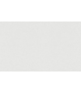 PAPIER PEINT INTISSE DASH UNI BLANC - GENTLE - 10 X 1,06M