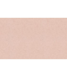PAPIER PEINT INTISSE DASH UNI ROSE - GENTLE - 10 X 1,06M