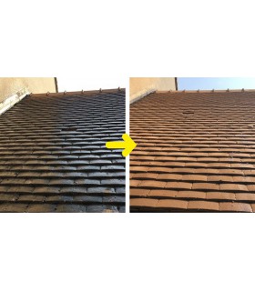 Anti-M Guard 24 Traitement curatif et préventif anti-mousse anti dépôt vert Anti-M Guard 24 Traitement curatif et préventif anti-mousse anti dépôt vert