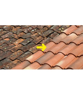 Anti-M Guard 24 Traitement curatif et préventif anti-mousse anti dépôt vert Anti-M Guard 24 Traitement curatif et préventif anti-mousse anti dépôt vert