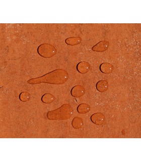 Anti M Guard 2 en 1 concentré nettoyant fongicide hydrofuge terrasses toitures façades