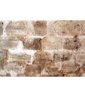 Minéralisant Guard durcisseur fixateur de surface matériaux friables