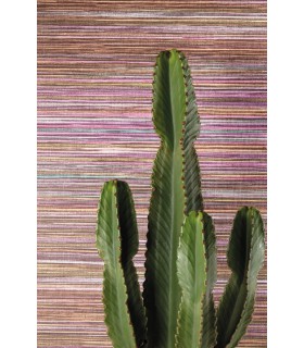 Papier Peint PAI PAI PLUM DGAMA1043 260 - Collection AMANI - MASUREEL - REF. DGAMA1043 260