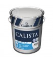 Guittet Calista Peinture Mat-Velours Impression et Finition Murs et Plafonds – Haute Performance