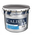 Guittet Calista Peinture Mat-Velours Impression et Finition Murs et Plafonds – Haute Performance