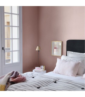 Guittet Calista Peinture Mat-Velours Impression et Finition Murs et Plafonds – Haute Performance