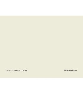 Echantillon de Peinture Repositionnable Stick'N'Test Evasion by Krome 20x15cm