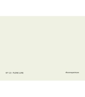 Echantillon de Peinture Repositionnable Stick'N'Test Evasion by Krome 20x15cm