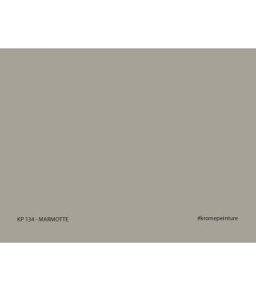 Échantillon de peinture repositionnable Stick'N'Test Krome Evasion 20x15 cm