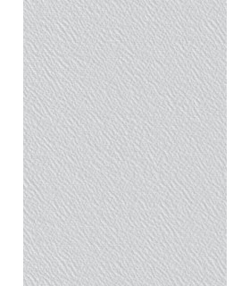 Toile de verre M35 crépis prépeinte 170g/m² - 50 m x 1 m