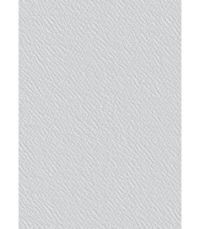 Toile de verre M35 crépis prépeinte 170g/m² - 50 m x 1 m
