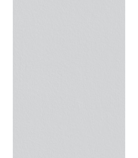 Toile de verre P50 voile Préencollée 220g/m² - 50 m x 1 m