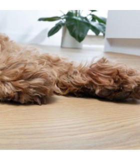 Berry Alloc Parquet stratifié Ocean+ - Gyant natural 4107 - 1288 mm x 190 mm x 8 mm