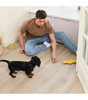 Berry Alloc Parquet stratifié Ocean+ 12mm - Bloom Sand Natural 6421 - 1288 mm x 190 mm x 12 mm