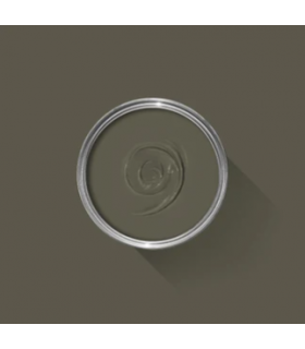 Farrow & Ball Échantillon REDUCED GREEN 313 - 100ml