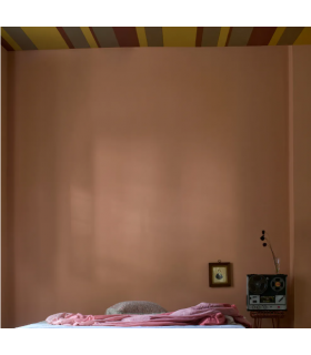 Farrow & Ball Échantillon NAPERON 315 - 100ml