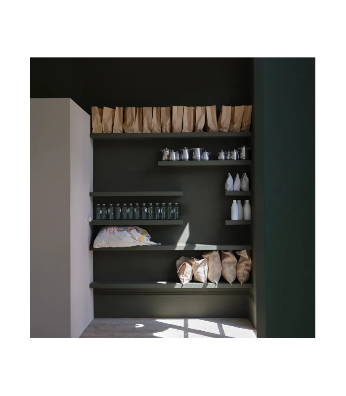 Farrow & Ball Échantillon REDUCED GREEN 313 - 100ml