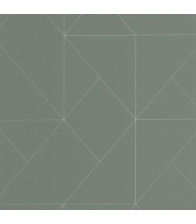 Papier peint SUBTILITE VERT KAKI - Collection Alchimie - CASADECO - Ref. ALMI89957761