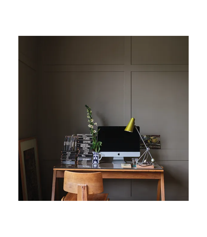 Farrow & Ball Échantillon BROCCOLI BROWN 198 - 100ml