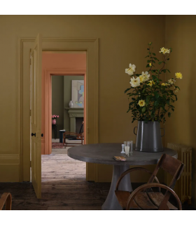 Farrow & Ball Échantillon DUSTER 319 - 100ml