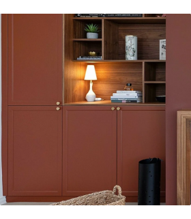 Farrow & Ball Échantillon ETRUSCAN RED 56 - 100ml