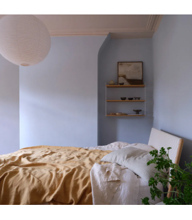 Farrow & Ball Échantillon KAKELUGN 317 -100 ml