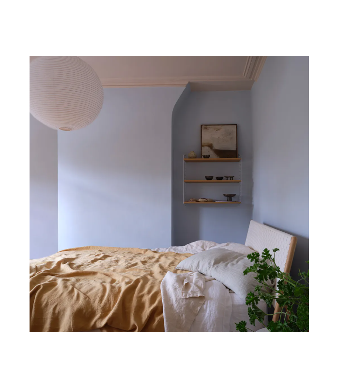 Farrow & Ball Échantillon KAKELUGN 317 -100 ml