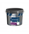 Guittet Odyssée+ velours Bas Carbone Peinture Murs et Plafonds