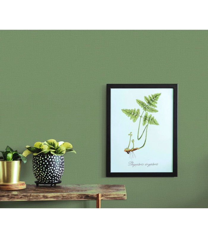 Papier peint Erismann - La Terrasse uni effet textile vert sauge - 1026207