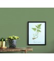Papier Peint ERISMANN TERRASSE  1026207