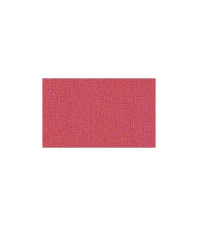 P.P BATIPLUS     REF 16051