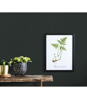 Papier peint Erismann, Collection Martinique - Intissé grainé, Décor : PASSION NOIR