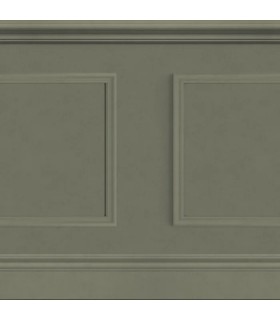 Panoramique LA BIBLIOTHEQUE KAKI - Collection WONDERWALLS 2 - CASADECO - Réf. WDWD200467540