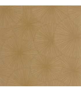 PP CASAD.SOLARIS HELIOS CAMEL