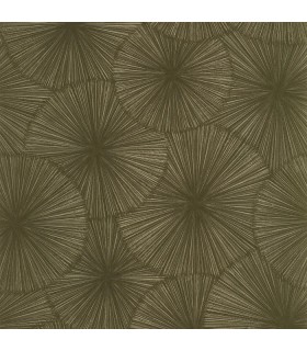 PP CASAD.SOLARIS HELIOS VERT