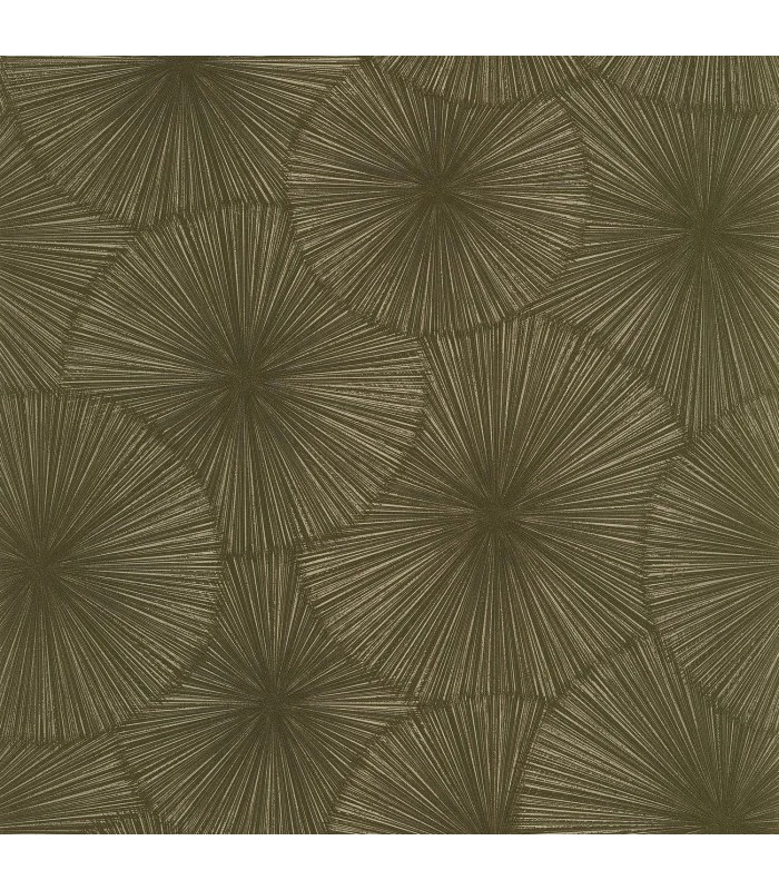 PP CASAD.SOLARIS HELIOS VERT