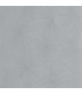 PP CASAD.SOLARIS HELIOS ARGENT