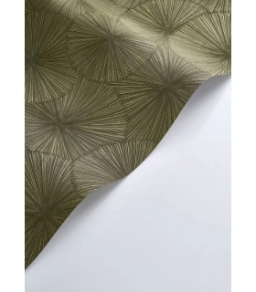 PP CASAD.SOLARIS HELIOS VERT