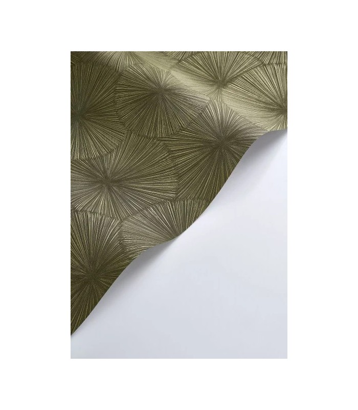 PP CASAD.SOLARIS HELIOS VERT